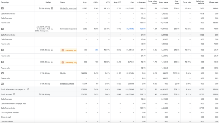 Google Ads campaign perfromance segmentation by conversion action