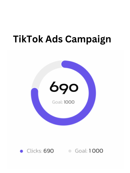 TikTok Ads Campaign